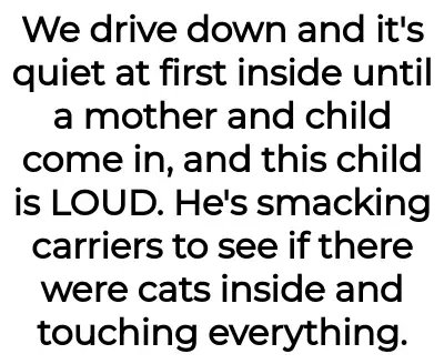Image credit: throwawyitsmycat | throwawyitsmycat