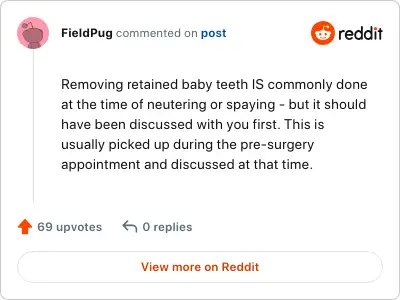 Image credit: FieldPug | FieldPug