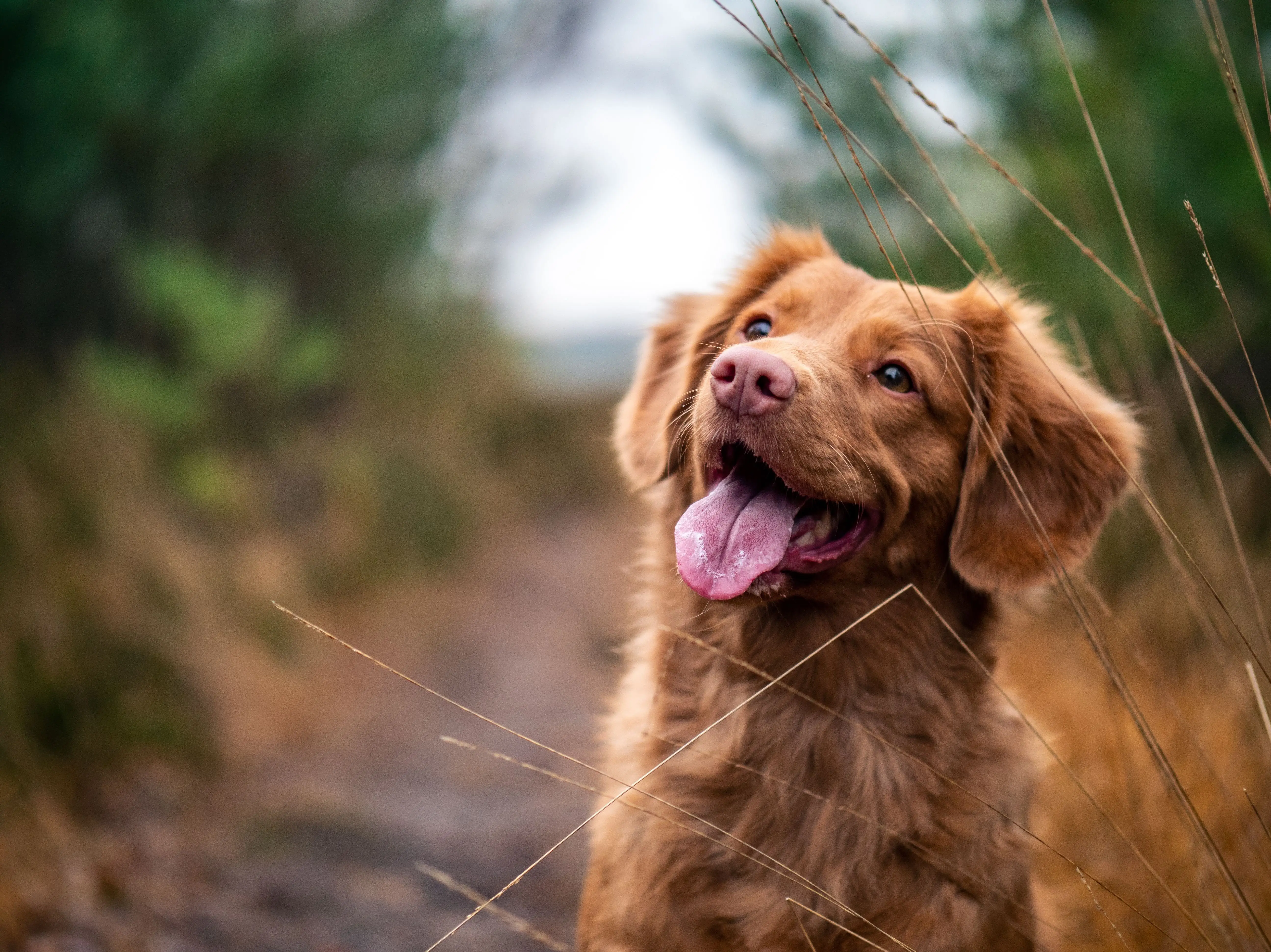 Image credit: Unsplash | Jamie Street