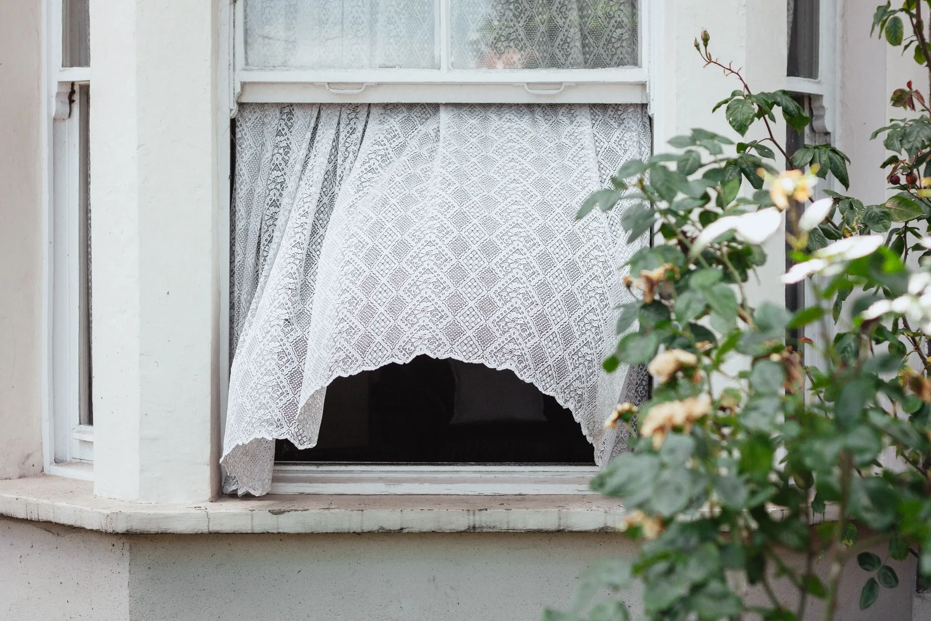 Image credit: Unsplash | Alistair MacRobert