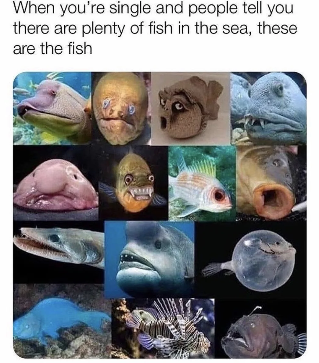 Image credit: Instagram | memestoshowyourfriend