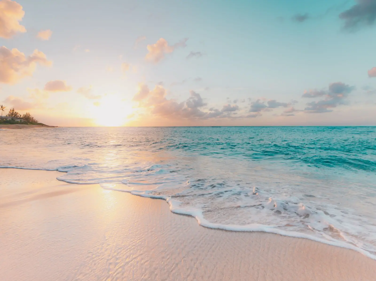 Image credit: Unsplash | Sean Oulashin