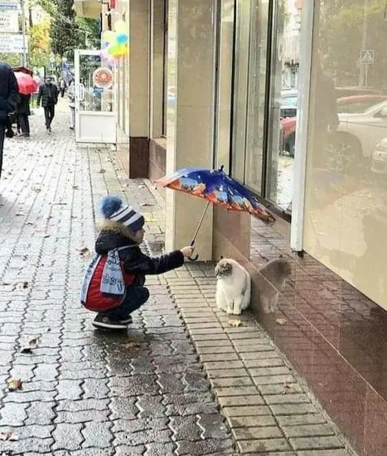 Image credit: Reddit | TheMirsinho