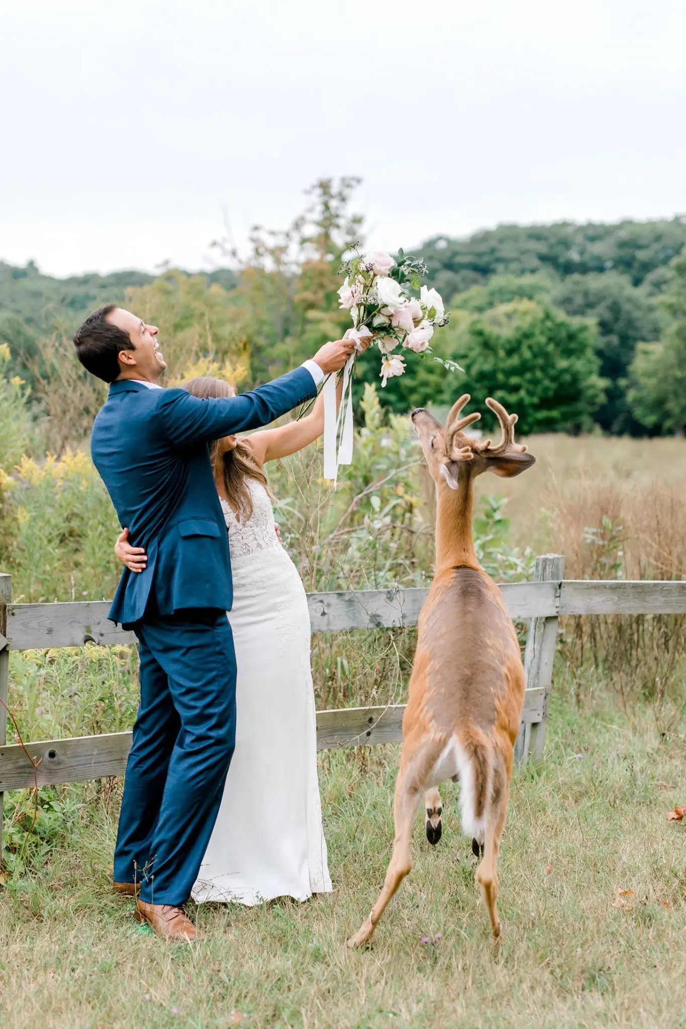 Image credit: Facebook | Laurenda Marie Photography