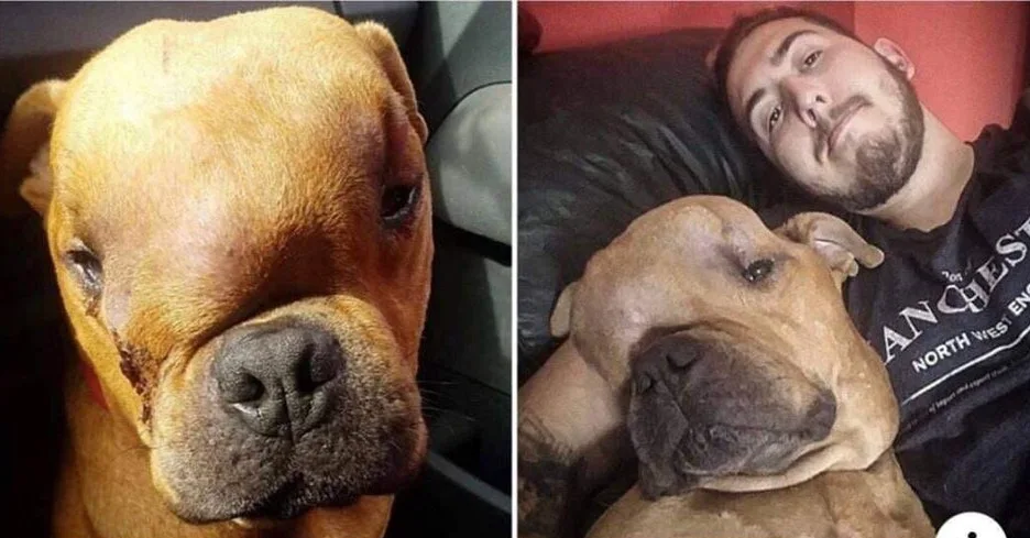 Image credit: Reddit | Prapshum