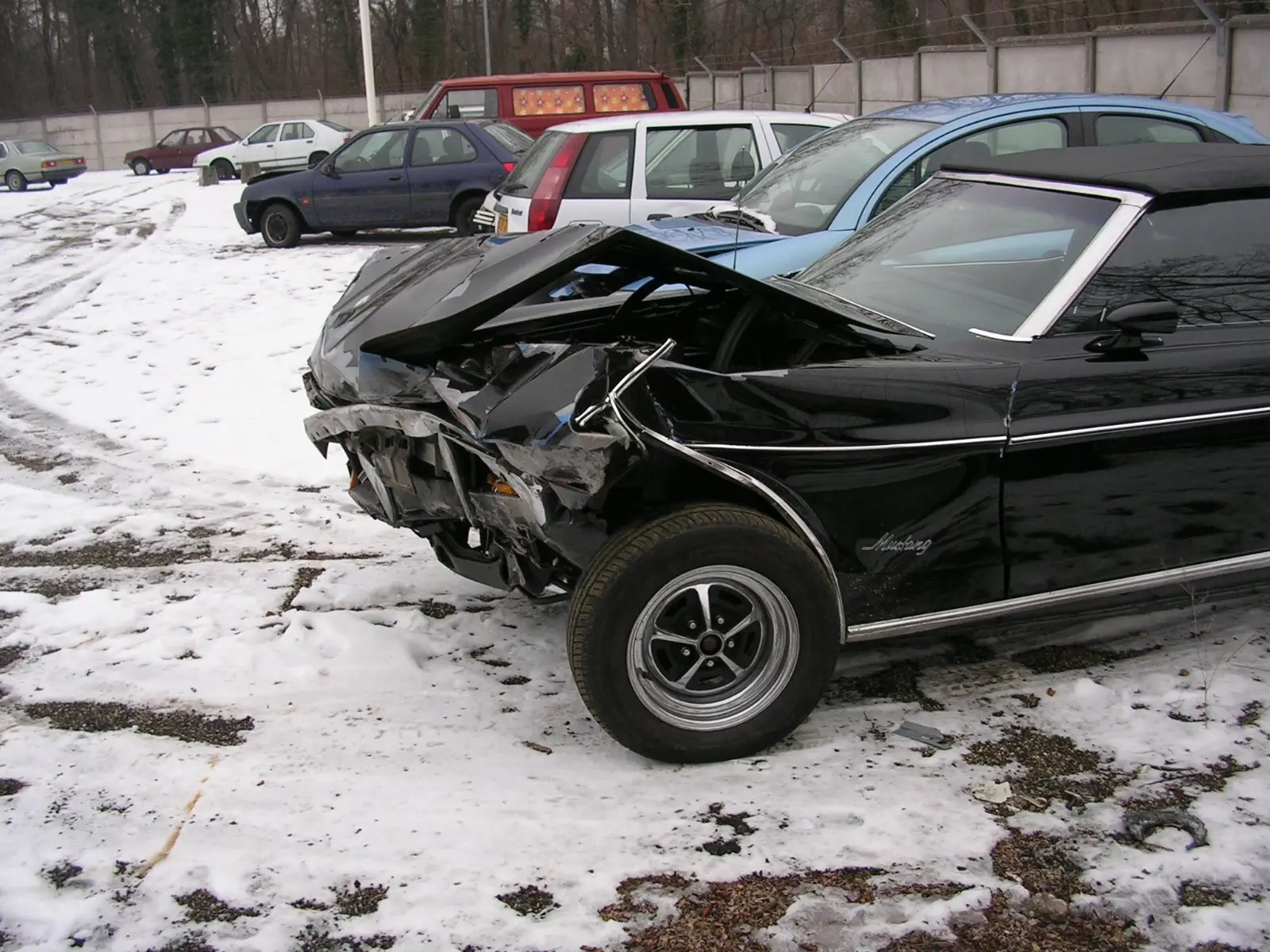 Image credit: https://diplycom5cc47.zapwp.com/q:i/r:0/wp:1/w:1/u:https://commons.wikimedia.org/wiki/File:AV_gche_mustang.JPG