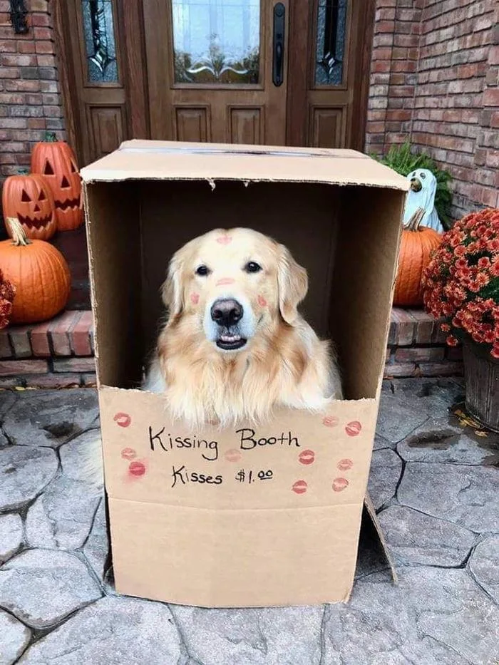 Image credit: Reddit | BirdDestroyer