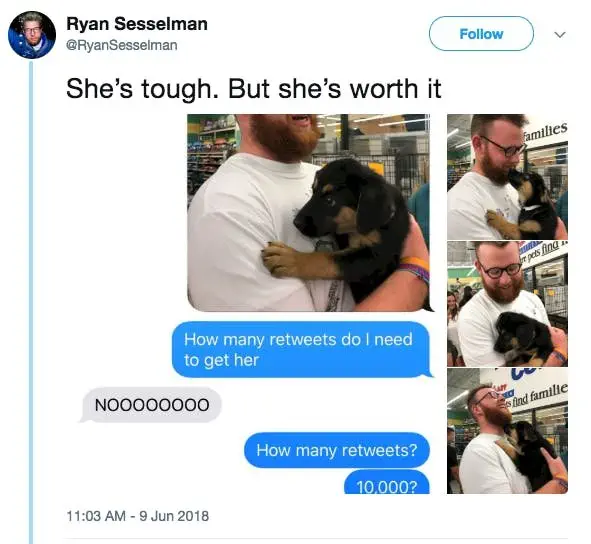 Image credit: Twitter | @RyanSesselman