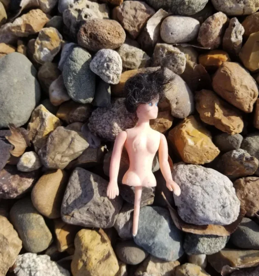 Image credit: Reddit | gingorama