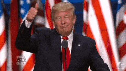 Image credit: Giphy | Election 2016