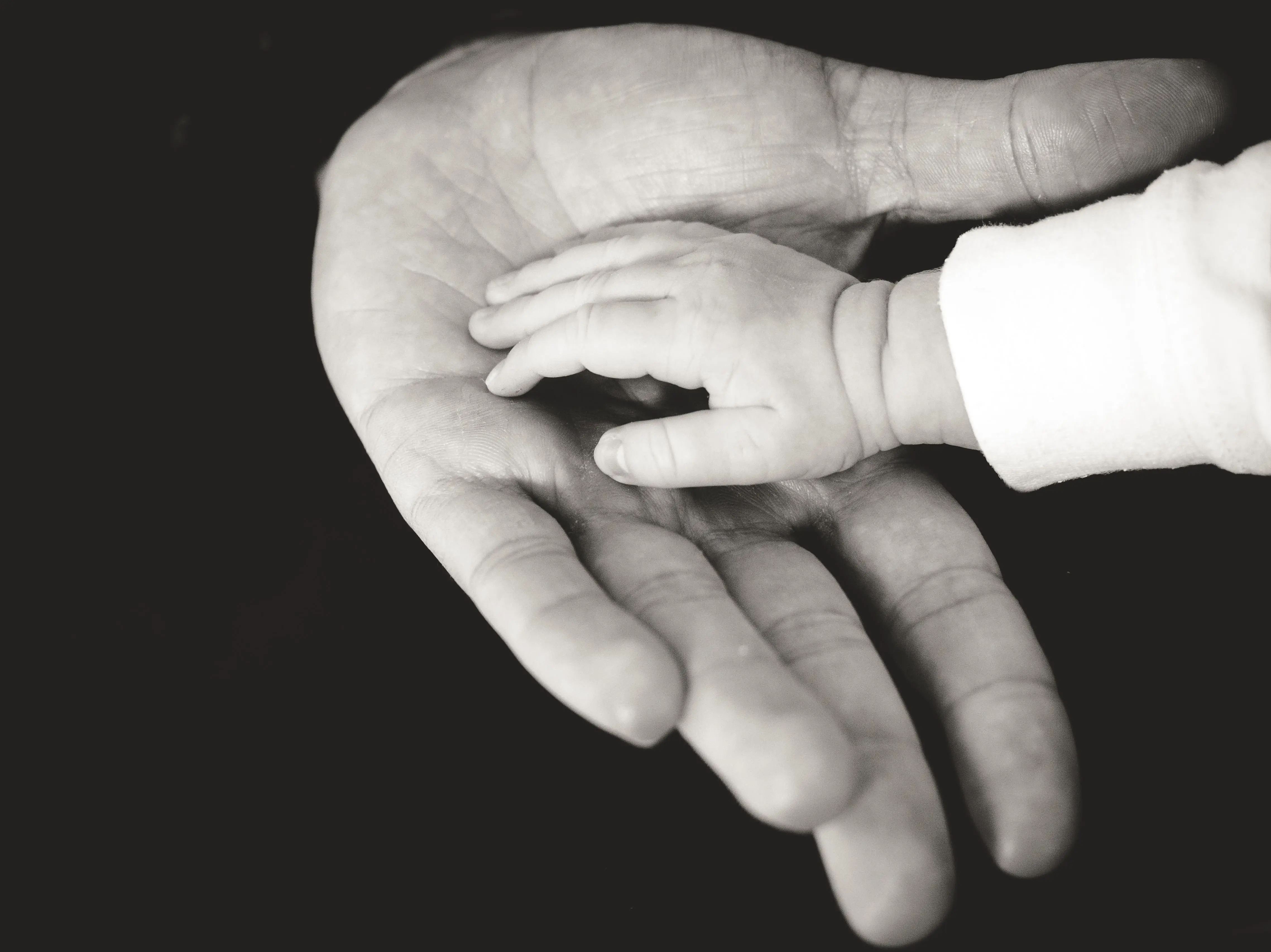 Image credit: Unsplash | Liane Metzler