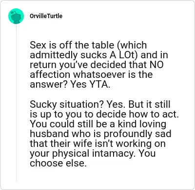 Image credit: OrvilleTurtle | OrvilleTurtle