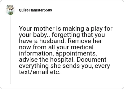 Image credit: Quiet-Hamster6509 | Quiet-Hamster6509