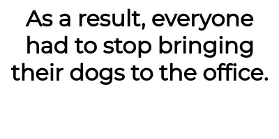 Image credit: nomoreofficedogs | nomoreofficedogs