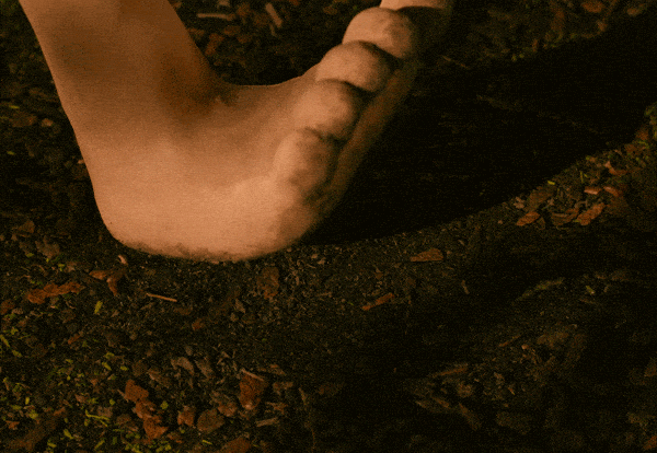 Image credit: Giphy | Aardman Animations