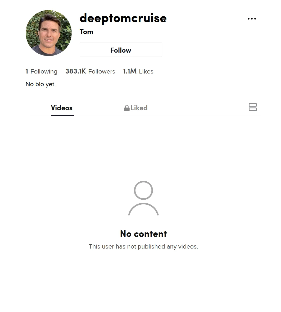Image credit: TikTok | @deeptomcruise