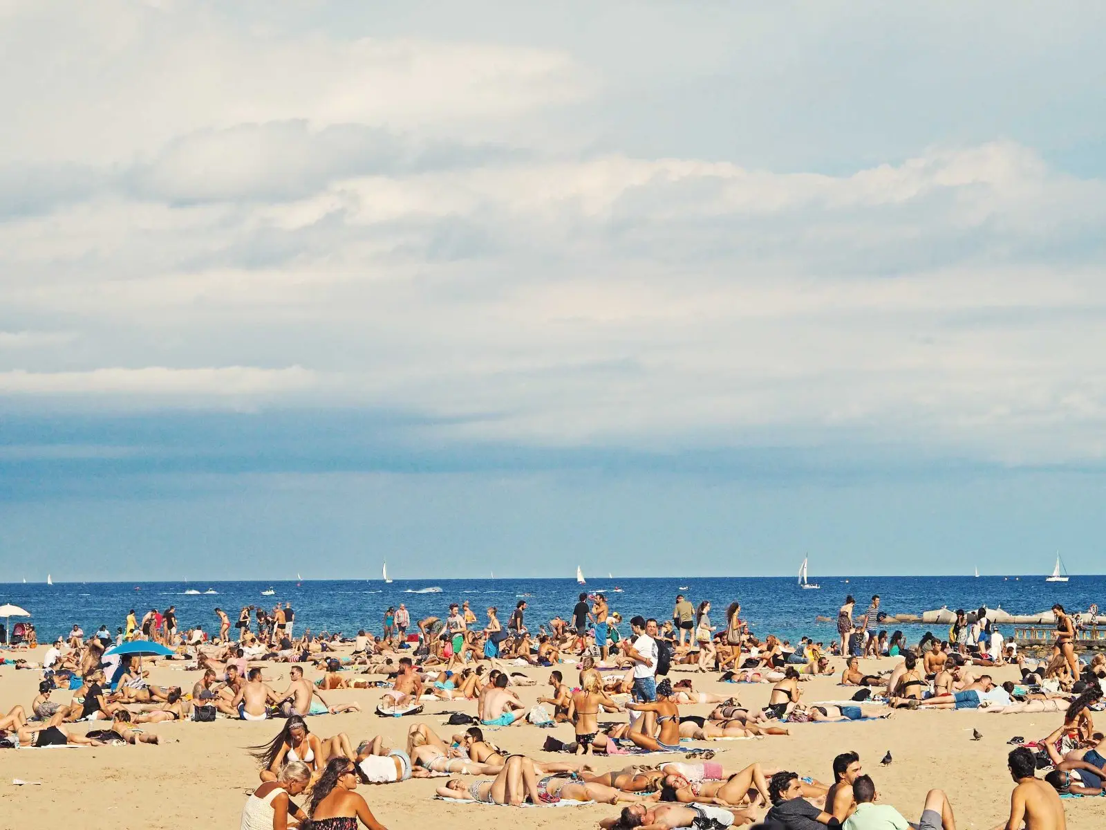 Image credit: Unsplash | Federico Giampieri