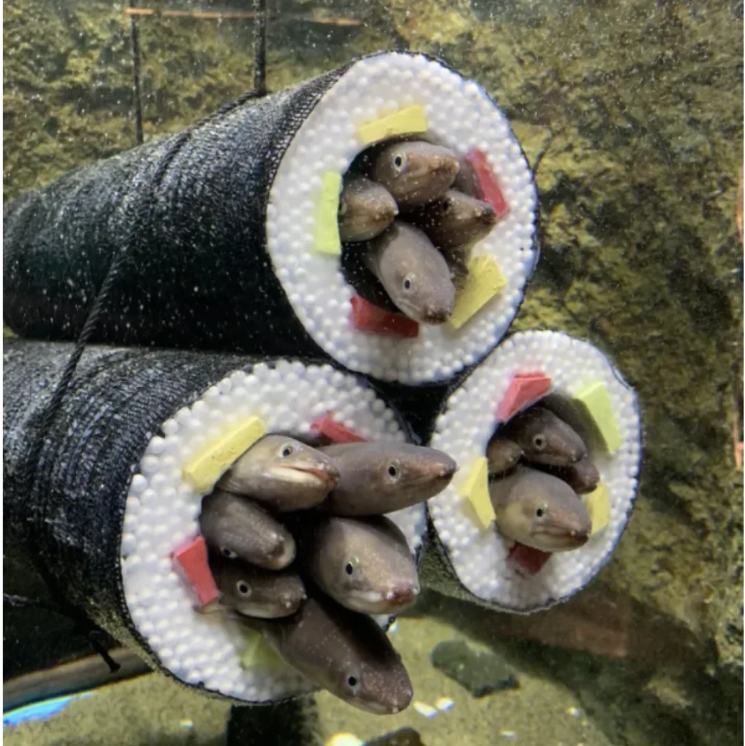 Image credit: Reddit | DefinitleyNot203Eels