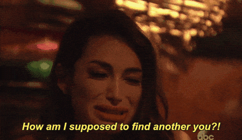 Image credit: Giphy | Bachelor in Paradise
