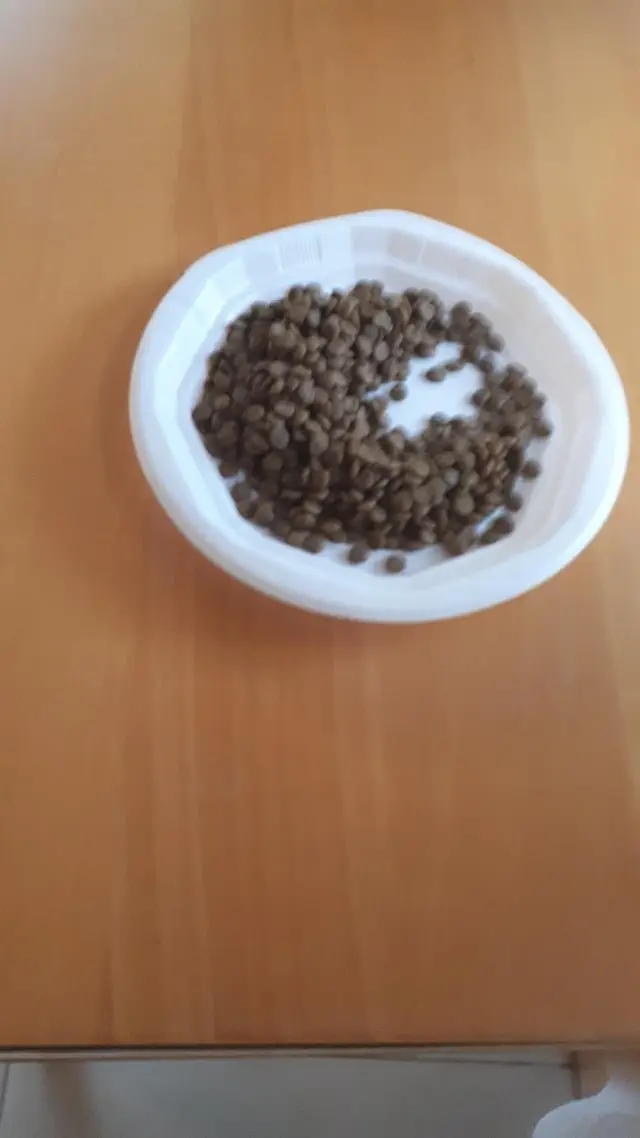 Image credit: Reddit | EffectedBasil24