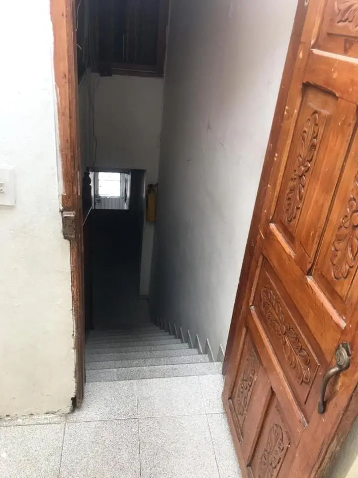 Image credit: Facebook | DLore Álvarez, Fundación Gatos Bogotanos en Adopción (GABA)