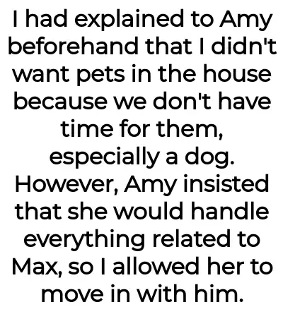 Image credit: sickofamysdog-aita | sickofamysdog-aita