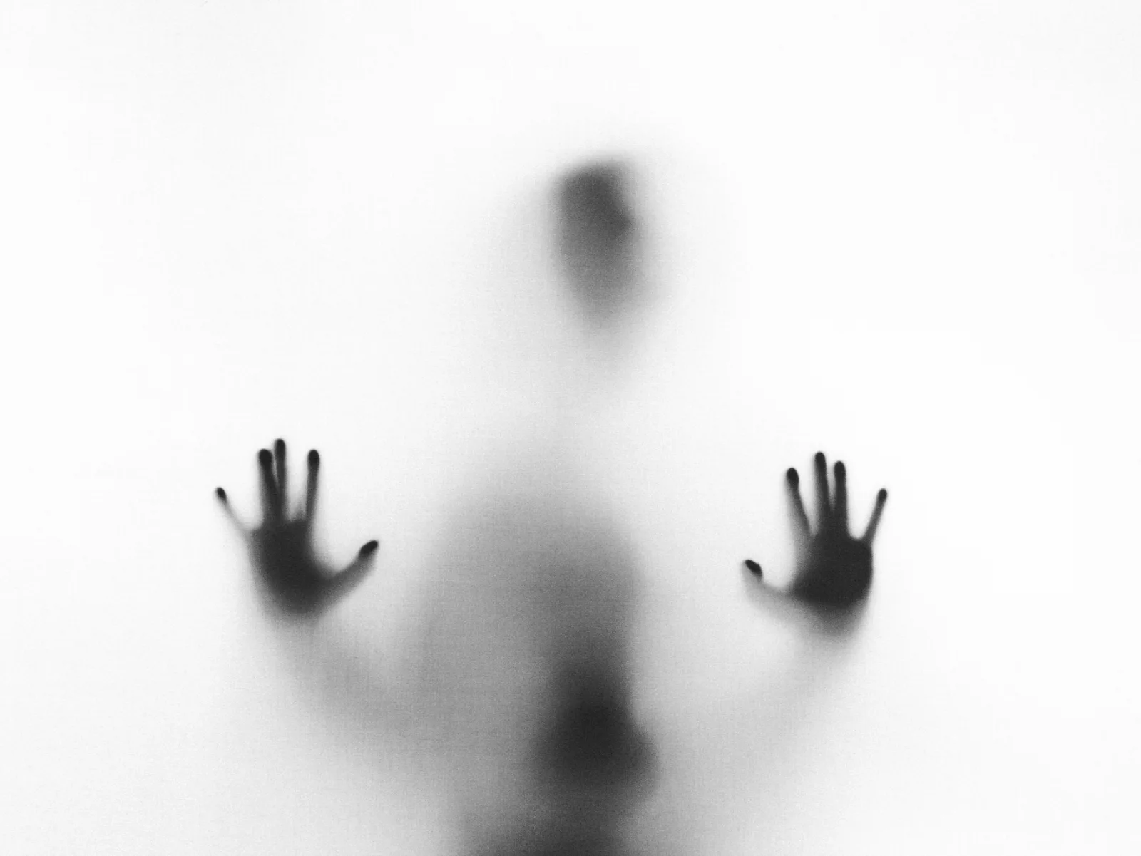 Image credit: Unsplash | Stefano Pollio
