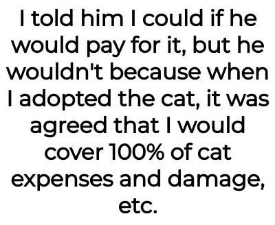 Image credit: catantibioticsaita | catantibioticsaita