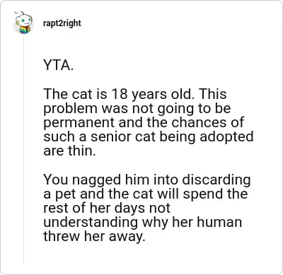 Image credit: rapt2right | rapt2right