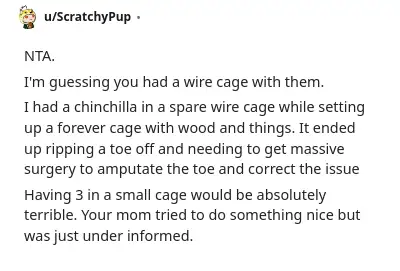 Image credit: ScratchyPup | ScratchyPup