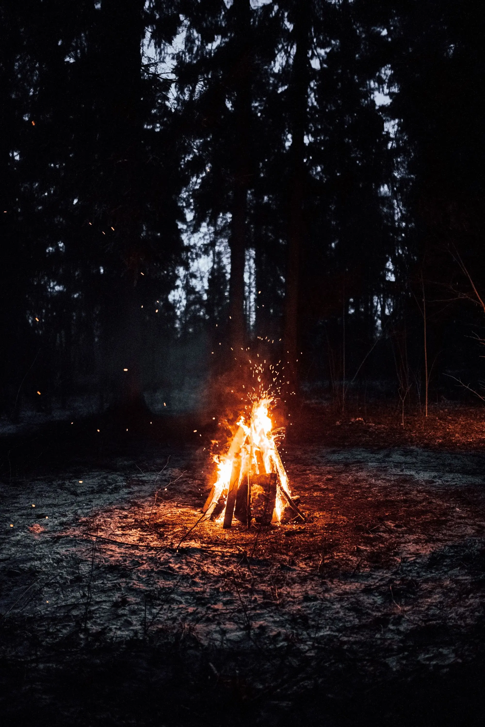 Image credit: Unsplash | Vadim Sadovski