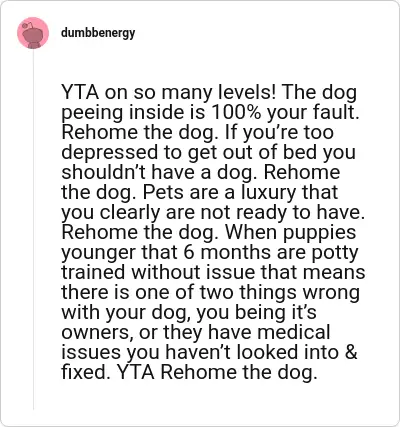 Image credit: dumbbenergy | dumbbenergy