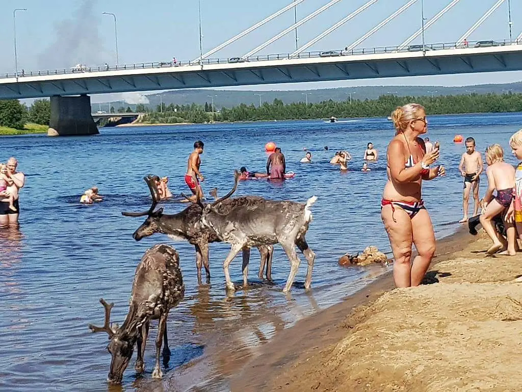 Image credit: Reddit | FinnishEvilBot