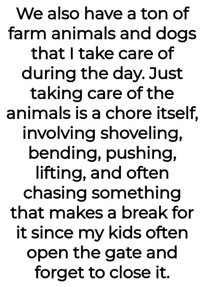 Image credit: environmental-cat-48 | environmental-cat-48