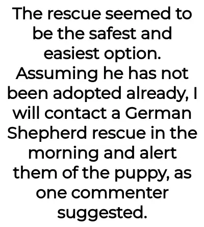 Image credit: puppyproblem129261 | puppyproblem129261