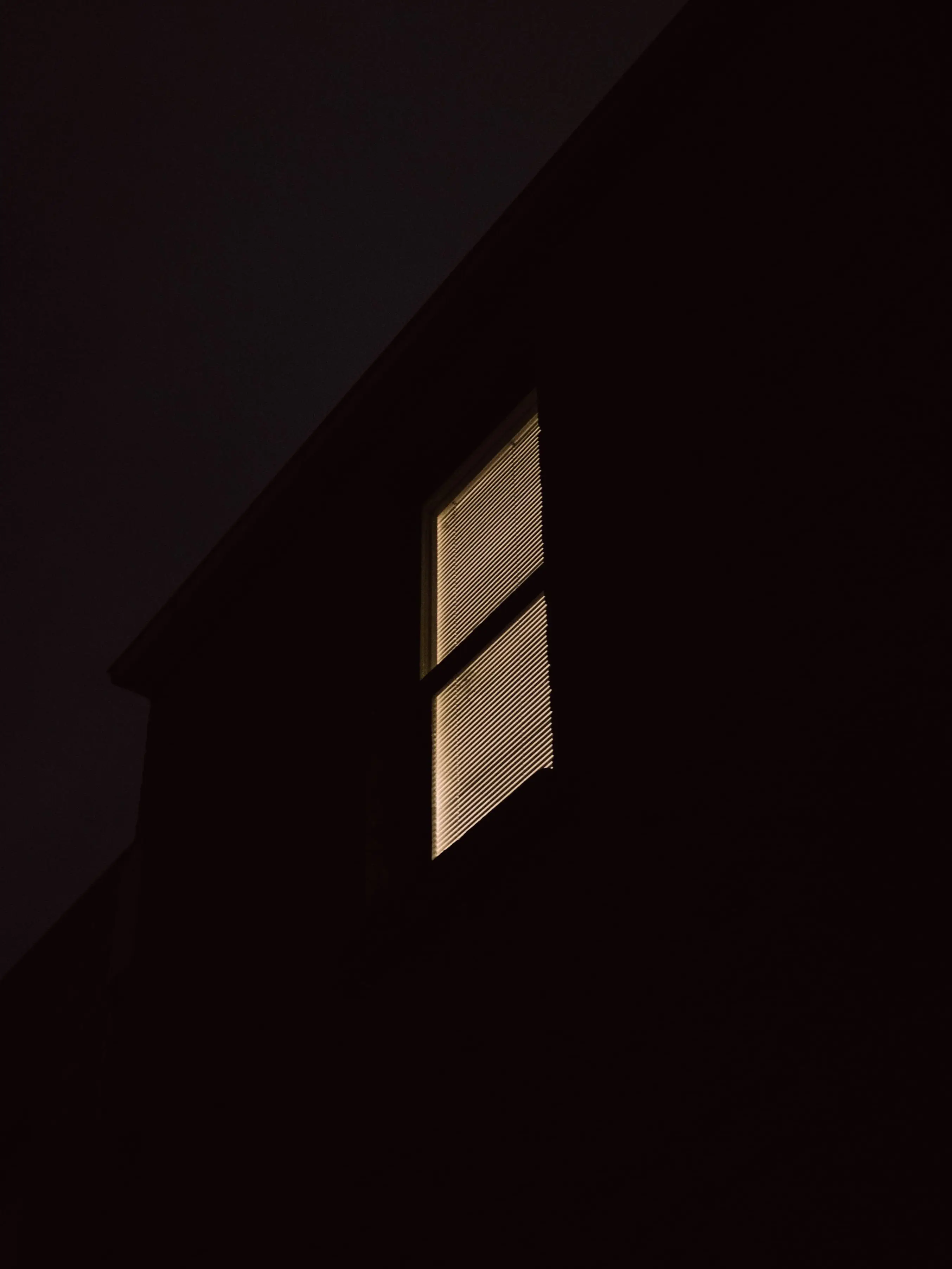 Image credit: Unsplash | Wolf Zimmermann