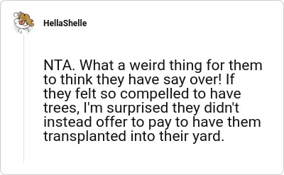 Image credit: HellaShelle | HellaShelle
