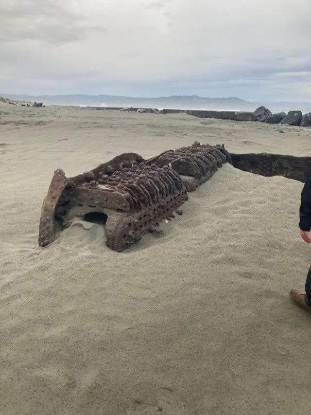 Image credit: reddit | stinkypenis99