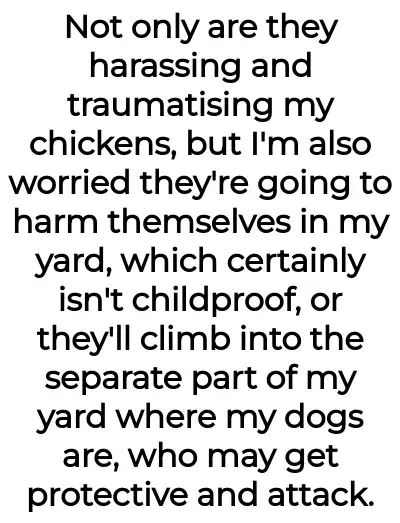 Image credit: ta_neighbours | ta_neighbours