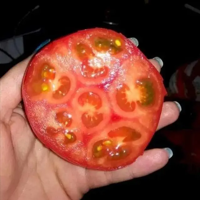 Image credit: reddit | prettypanzy