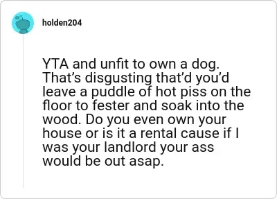 Image credit: holden204 | holden204