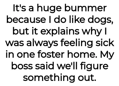 Image credit: nomoreofficedogs | nomoreofficedogs