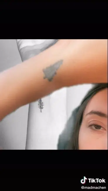 Image credit: TikTok | TikTok l madmachen