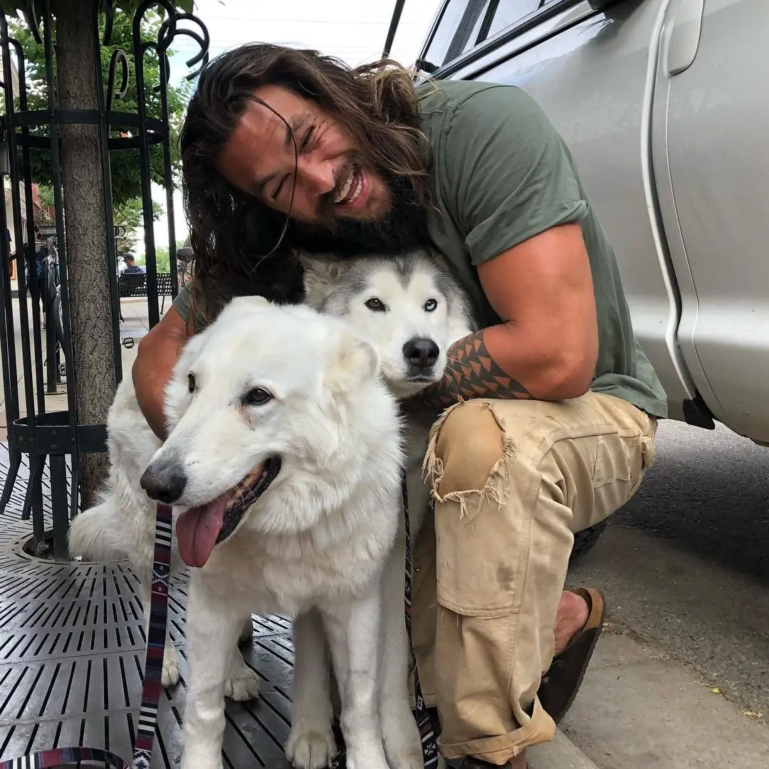 Image credit: Instagram | @prideofgypsies