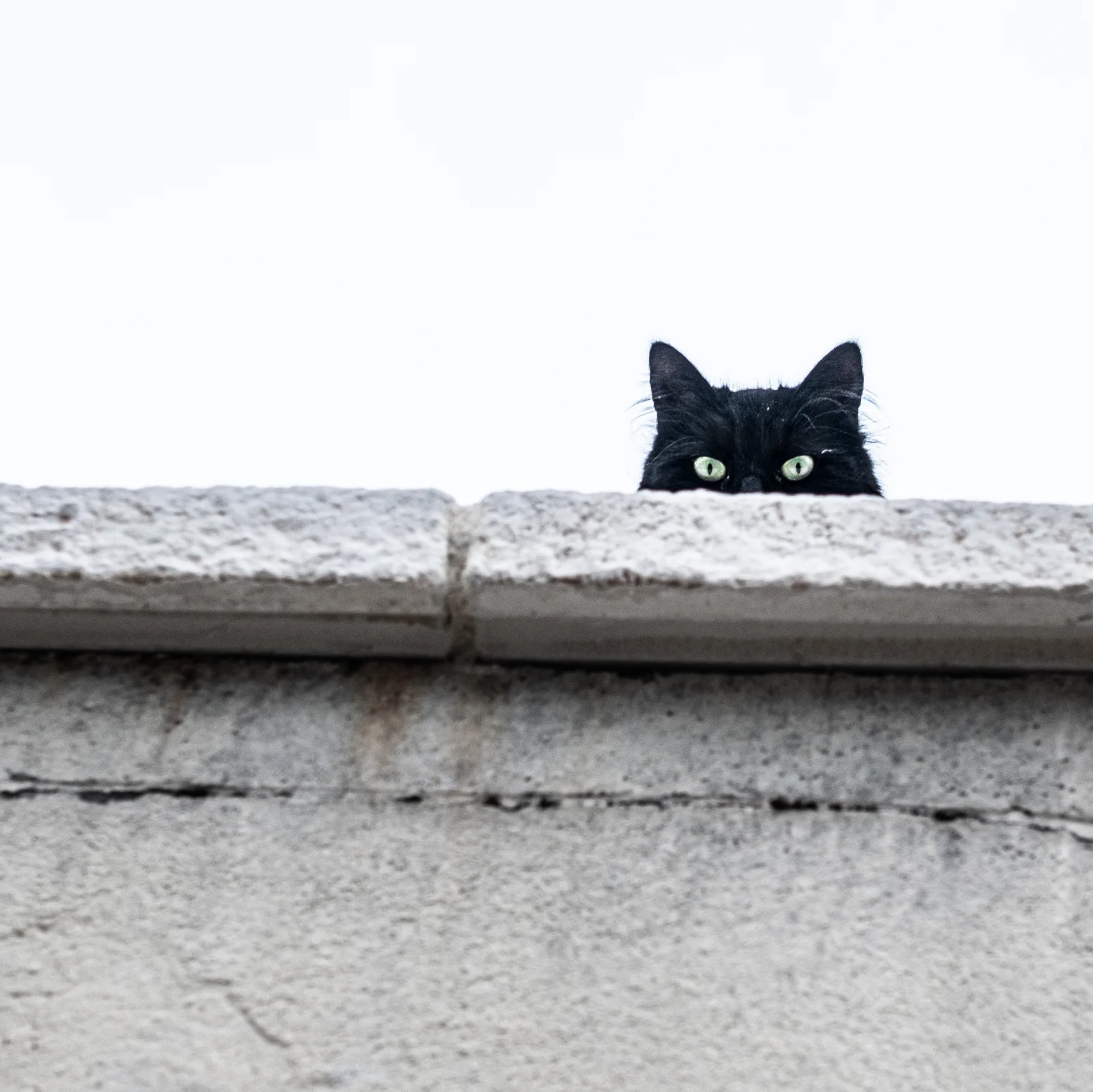 Image credit: Unsplash | Clément Falize