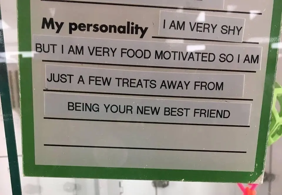 Image credit: Reddit | ItsRobbo