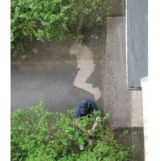 Image credit: Reddit | Nic0487