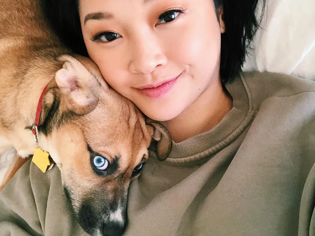 Image credit: Instagram | @lilemmythepup