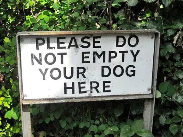 Image credit: Reddit | TRENDPLACE