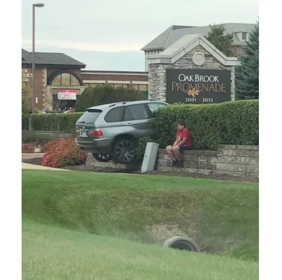 Image credit: Reddit | otterpark